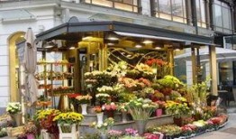 唐山花店吃瓜网红是谁呀,她是如何一夜爆红的？